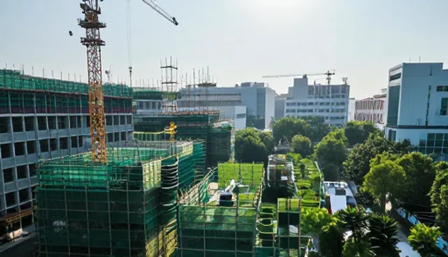 线上培训中学习规划的常见问题与应对策略